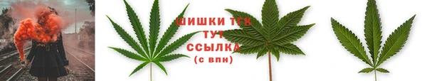 дмт Каменногорск
