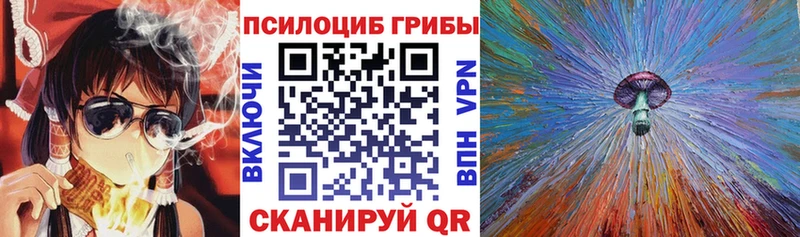 Псилоцибиновые грибы прущие грибы  Купить где  Эртиль 